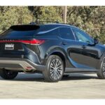 2024 Lexus RX 350 Premium Plus